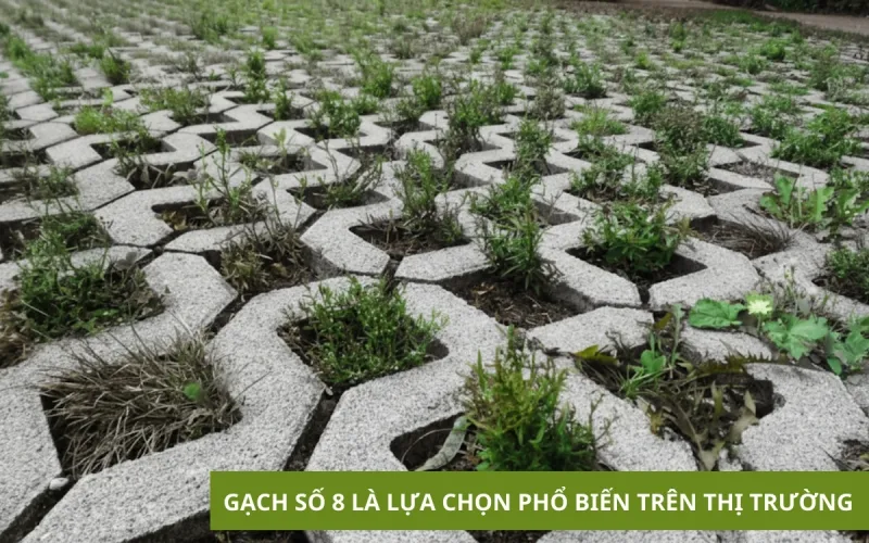 Vỉ Trồng Cỏ Chịu Lực | Tất Tần Tật Về Lợi Ích, Ứng Dụng Và Cách Lắp Đặt